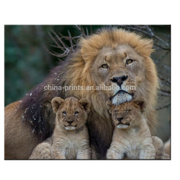 Impresión de la lona de la foto de la familia de los leones /